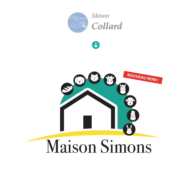 La Maison Collard s'appelle dsormais la Maison Simons  Welkenraedt